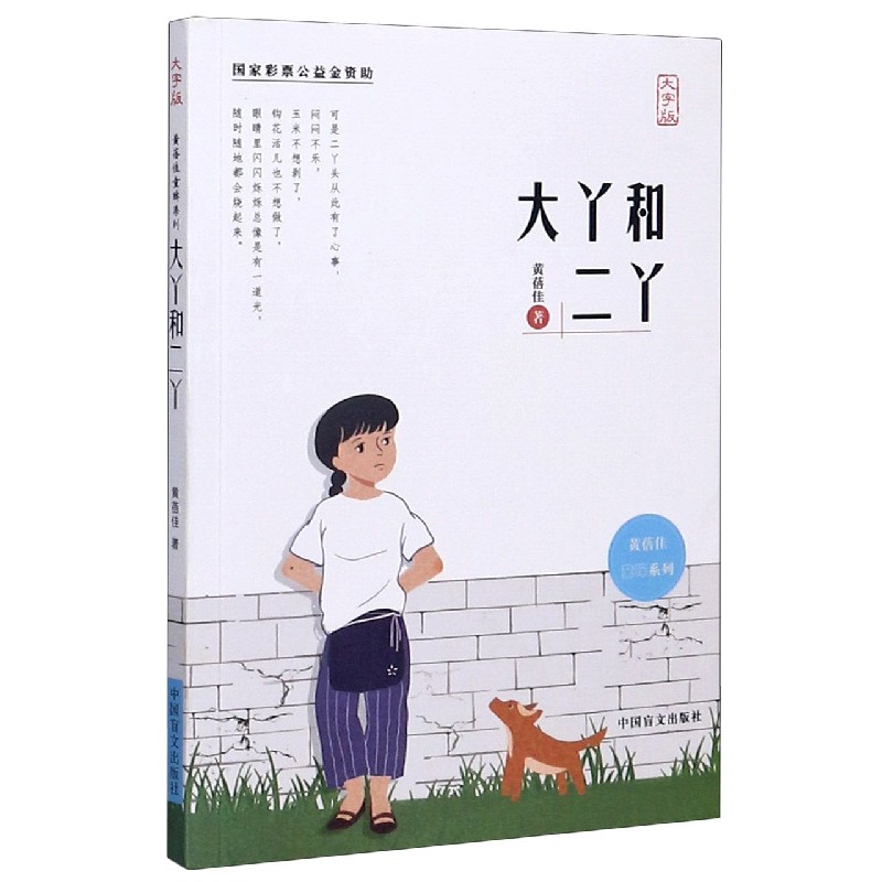 大丫和二丫（大字版）/黄蓓佳童眸系列