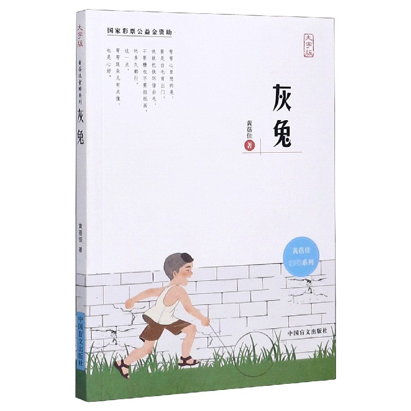 灰兔(大字版)/黄蓓佳童眸系列