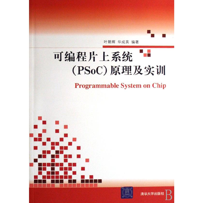 可编程片上系统原理及实训（附光盘）
