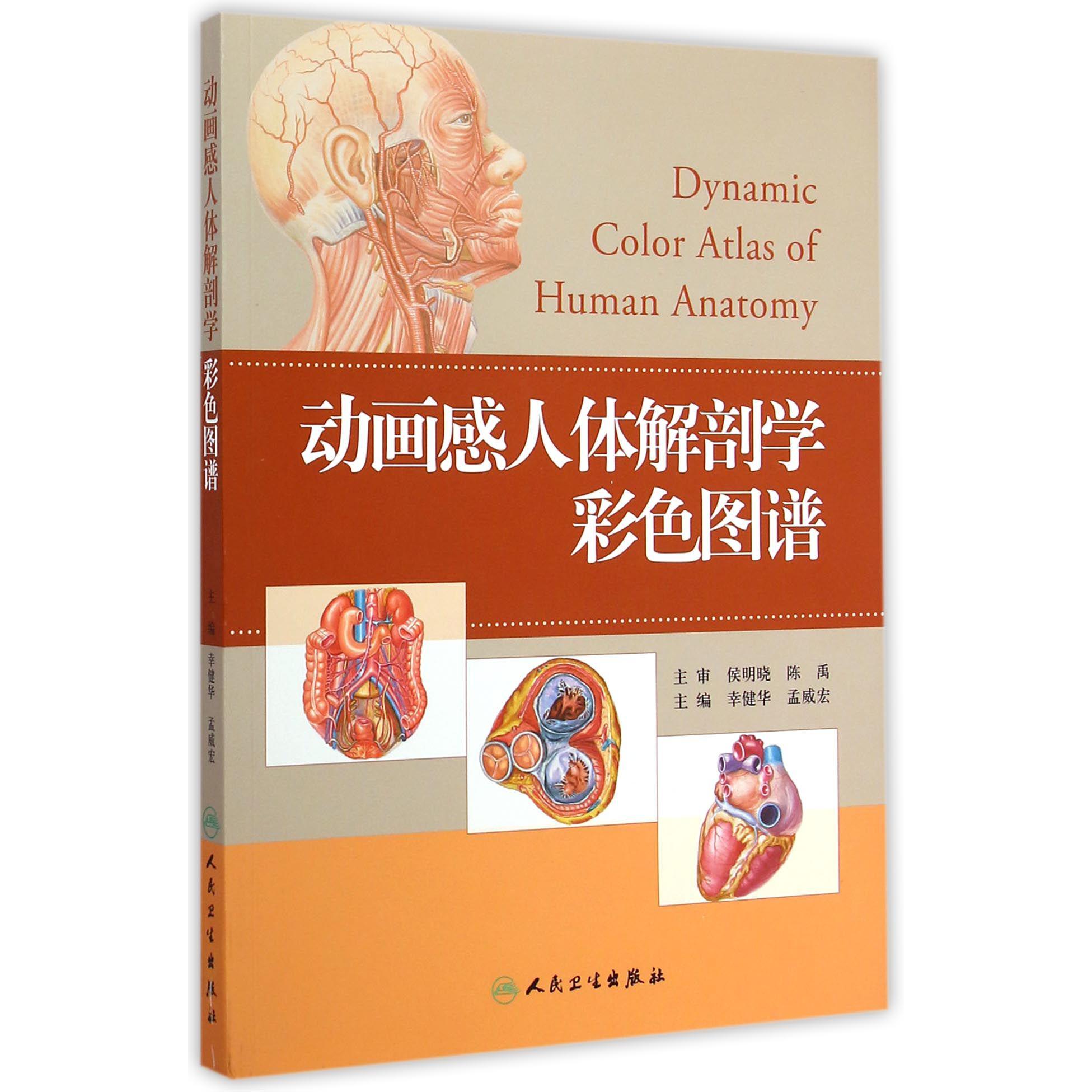 动画感人体解剖学彩色图谱