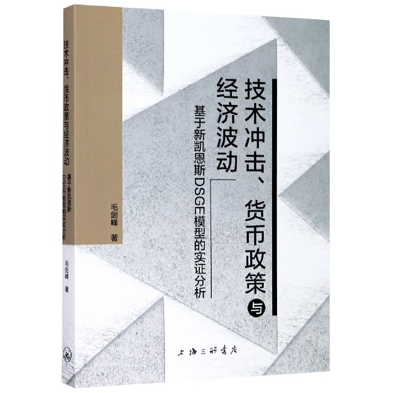 技术冲击货币政策与经济波动（基于新凯恩斯DSGE模型的实证分析）