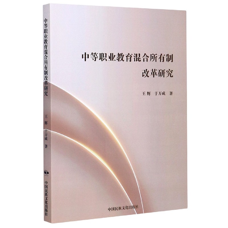 中等职业教育混合所有制改革研究