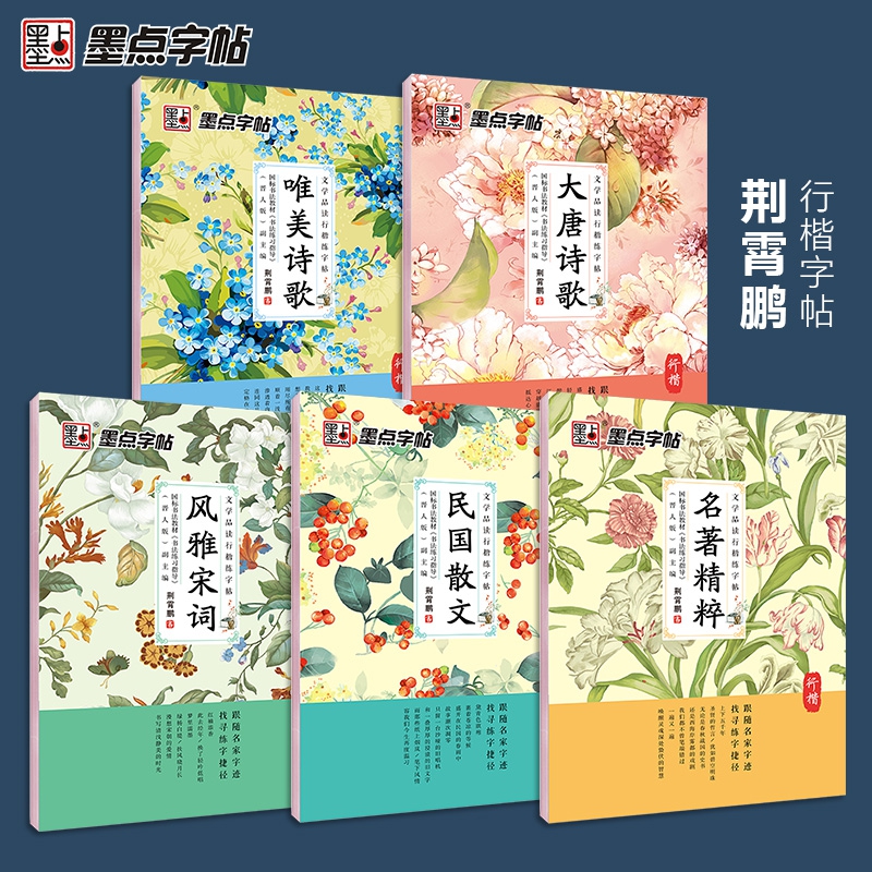 DS·墨点字帖：文学品读行书练字帖·古典诗词