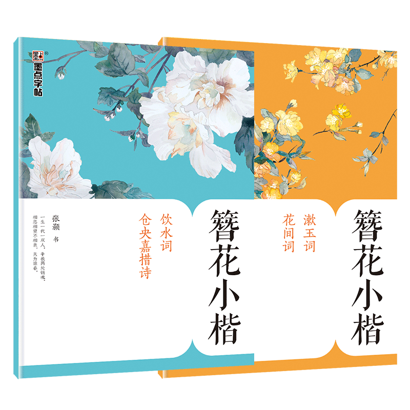 墨点字帖：名品文学硬笔字帖·纳兰性德饮水词（楷书）