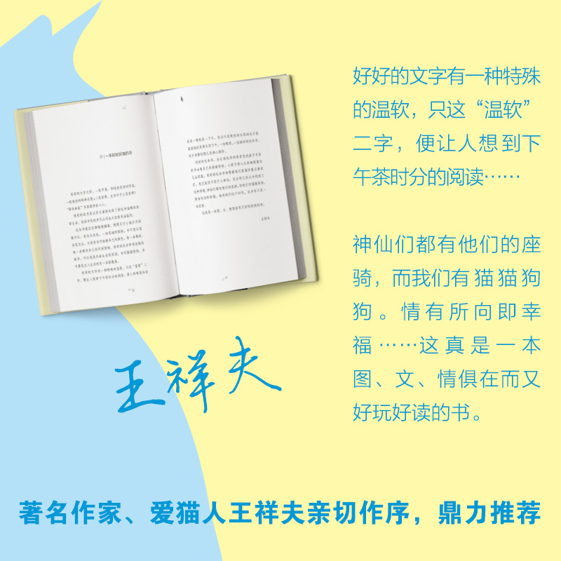 我有一只猫足以慰风尘
