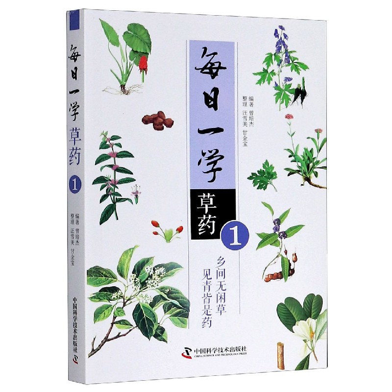 每日一学草药（1）