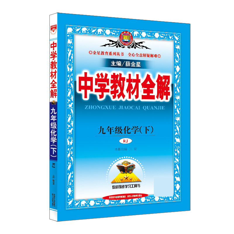 20N教材全解-九年级化学下（RJ版）20x