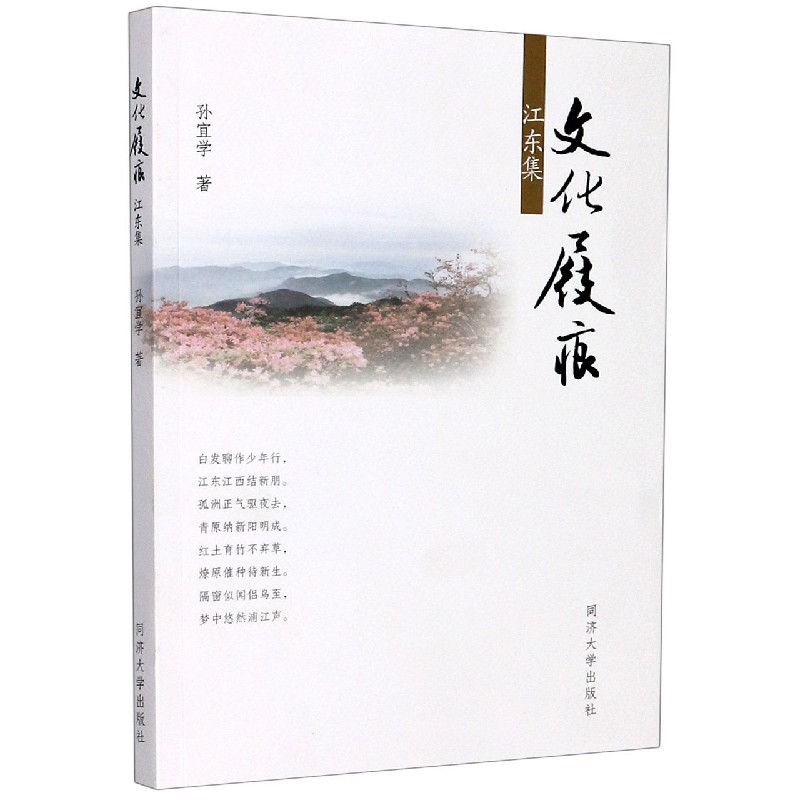 文化屐痕(江东集)