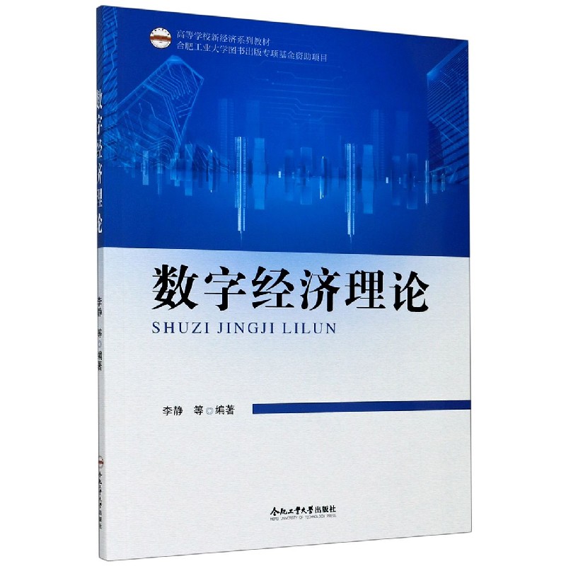 数字经济理论（高等学校新经济系列教材）