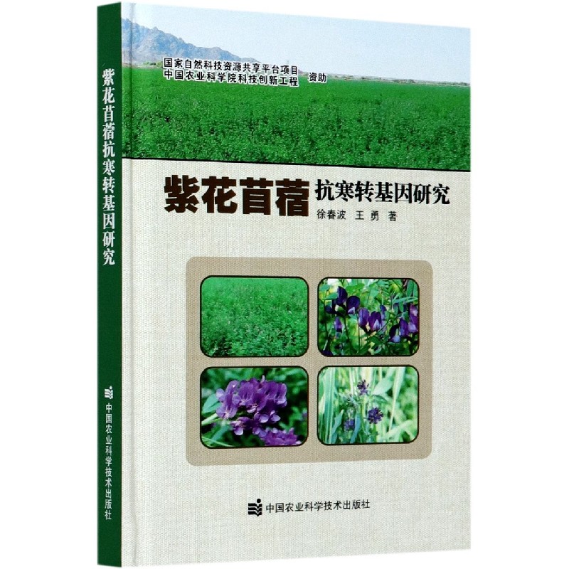 紫花苜蓿抗寒转基因研究（精）