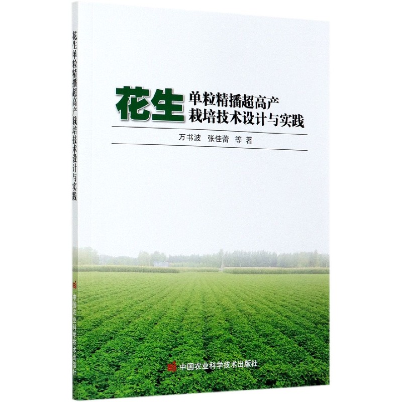 花生单粒精播超高产栽培技术设计与实践