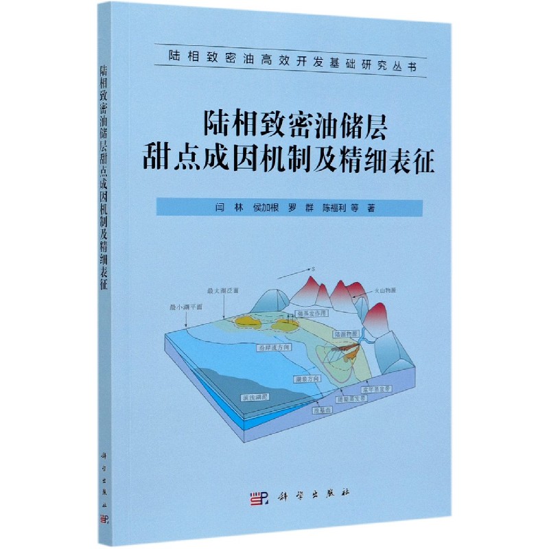 陆相致密油储层甜点成因机制及精细表征/陆相致密油高效开发基础研究丛书