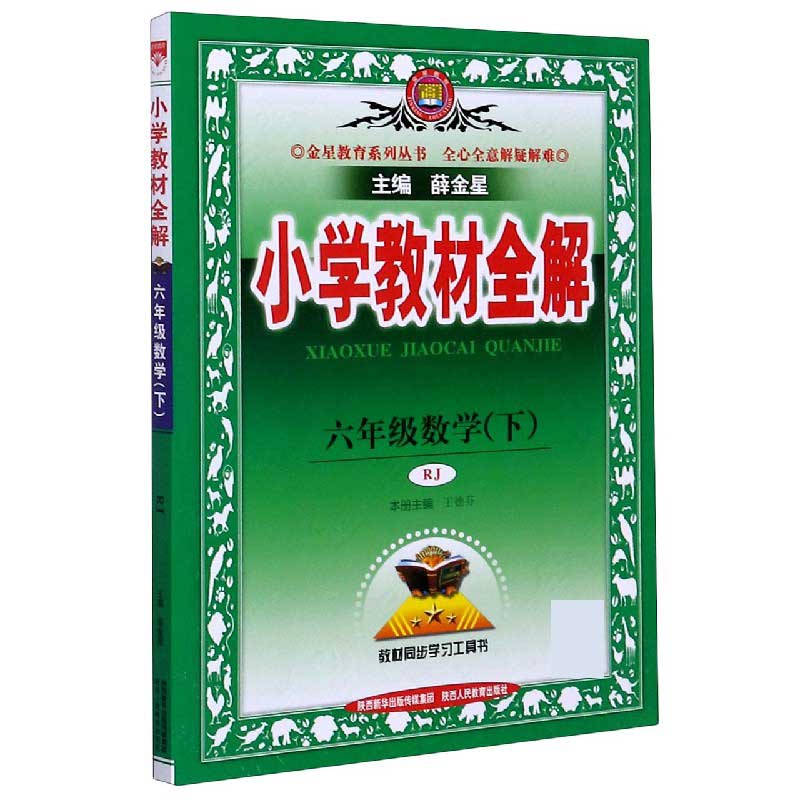 20N小学教材全解-六年级数学下（RJ版）20x