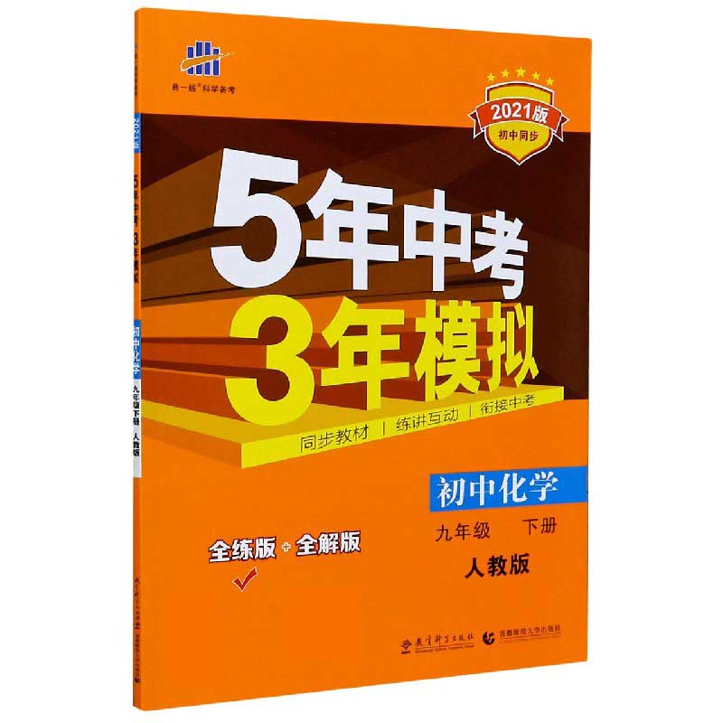 （N89）2021版九年级下册  化学（人教版）