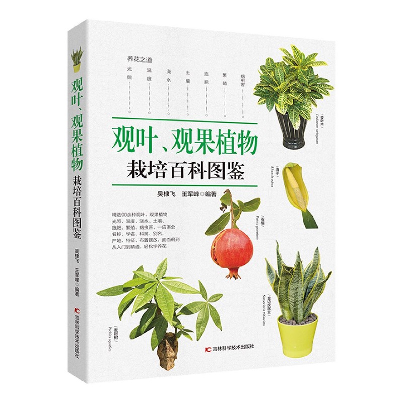 观叶观果植物栽培百科图鉴