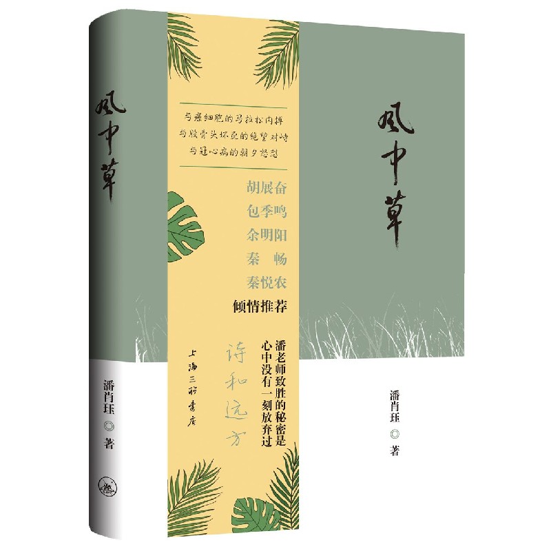 风中草（精）