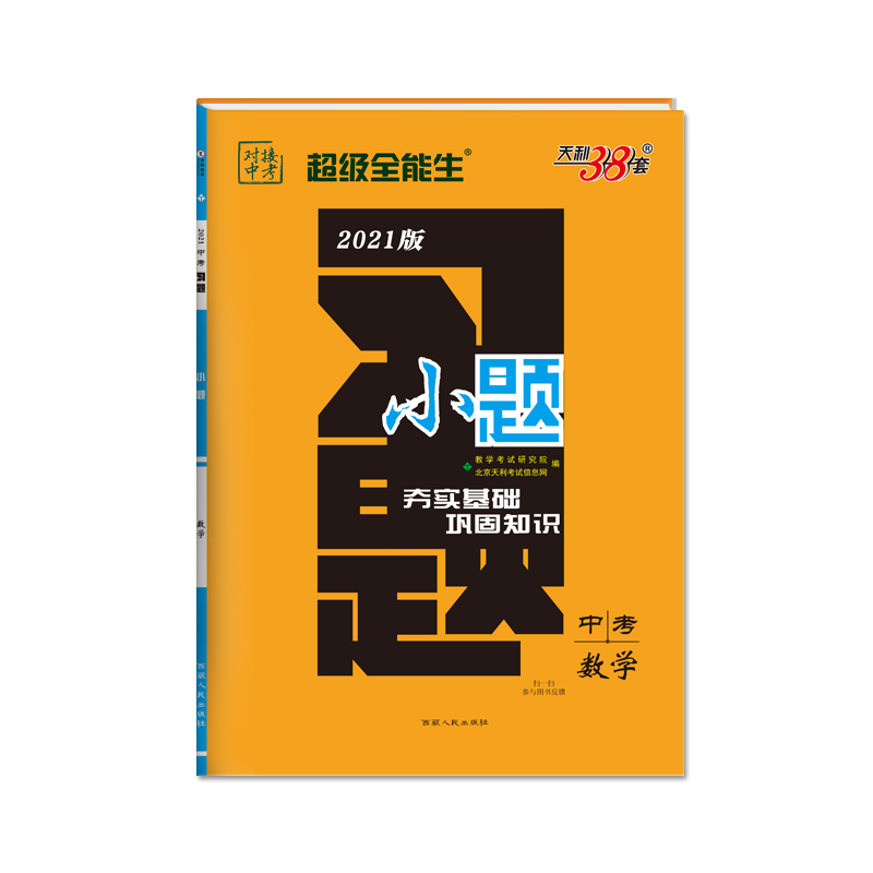 中考数学（2021版）/习题小题