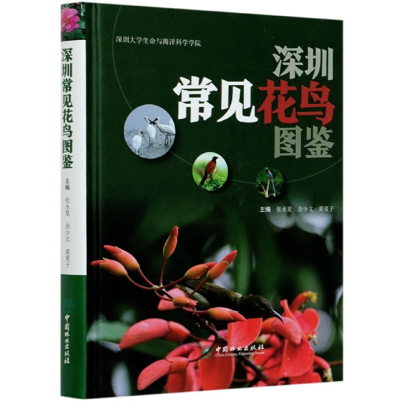 深圳常见花鸟图鉴（精）