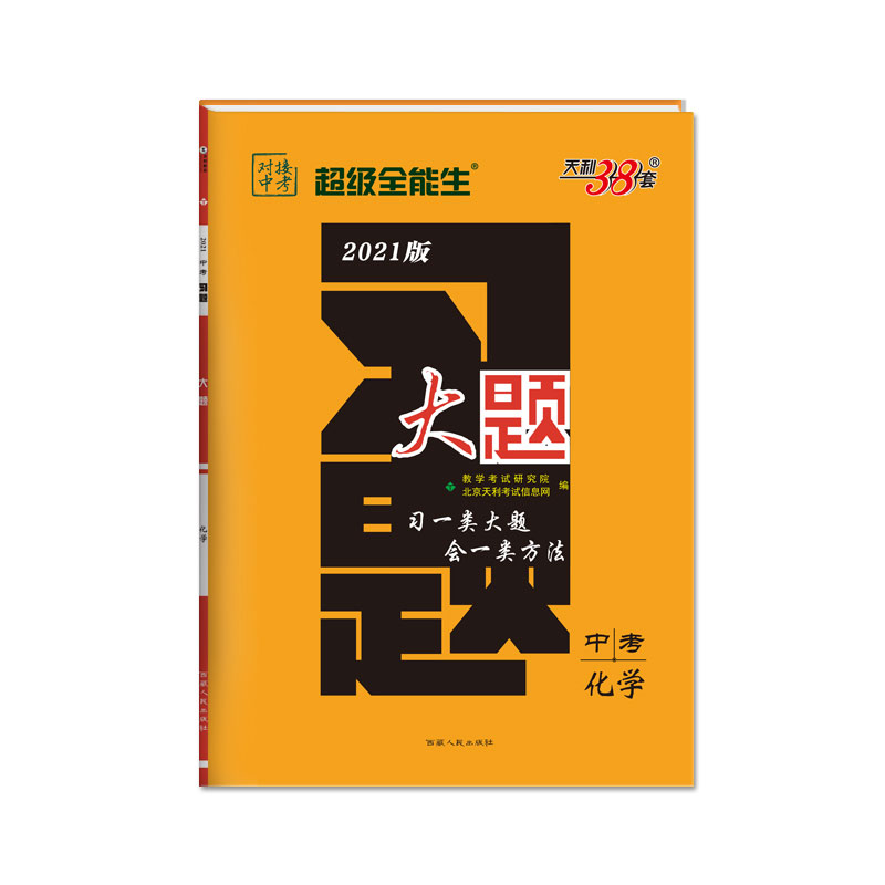 中考化学（2021版）/习题大题