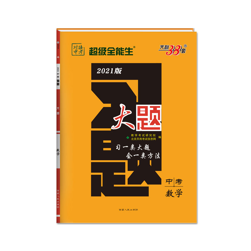 中考数学（2021版）/习题大题