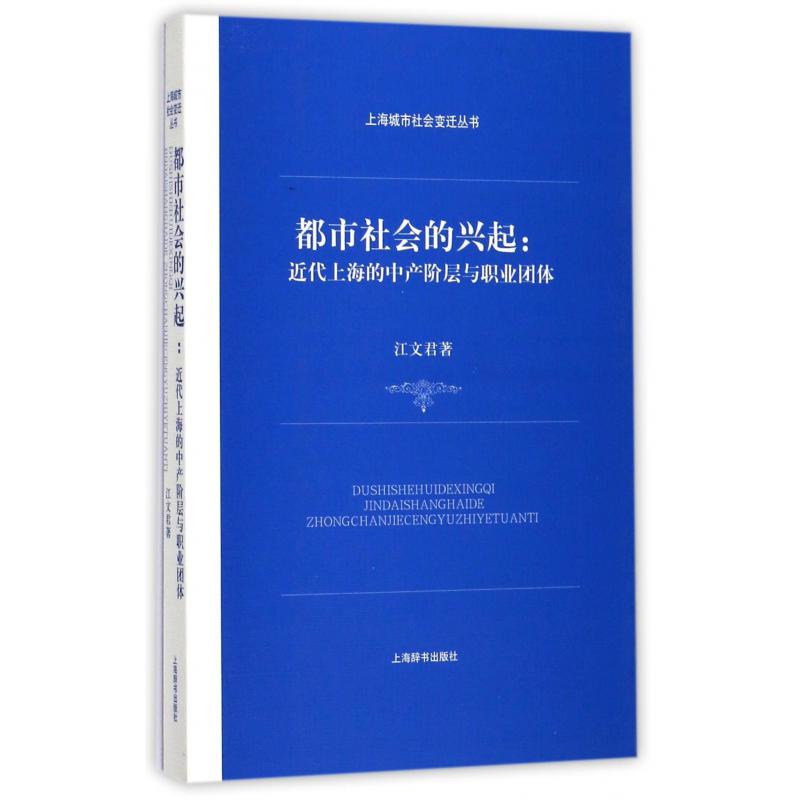 都市社会的兴起--近代上海的中产阶层与职业团体/上海城市社会变迁丛书