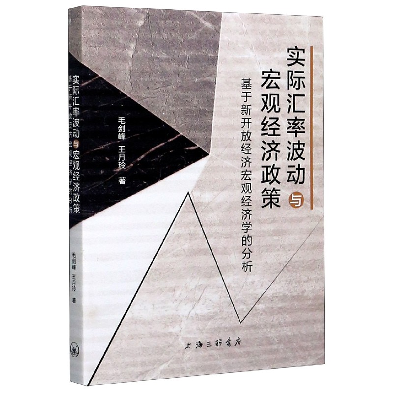 实际汇率波动与宏观经济政策（基于新开放经济宏观经济学的分析）