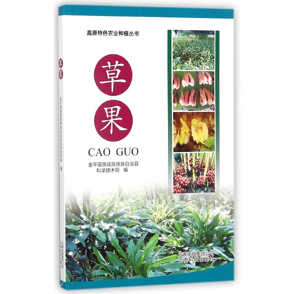 草果/高原特色农业种植丛书