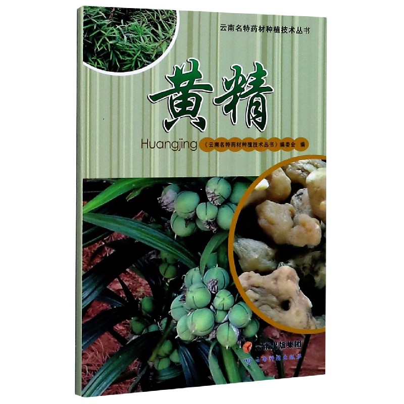 黄精/云南名特药材种植技术丛书