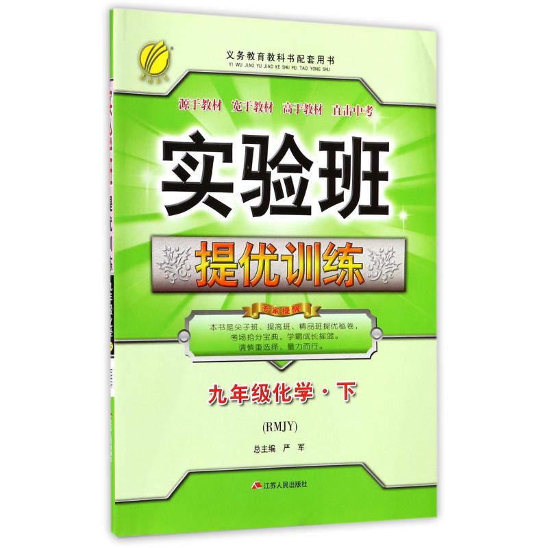 九年级化学（下RMJY）/实验班提优训练