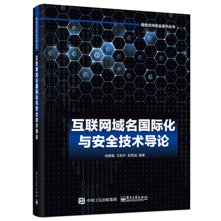 互联网域名国际化与安全技术导论/网络空间安全系列丛书