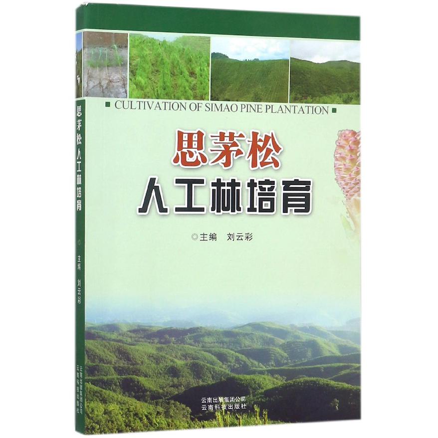 思茅松人工林培育