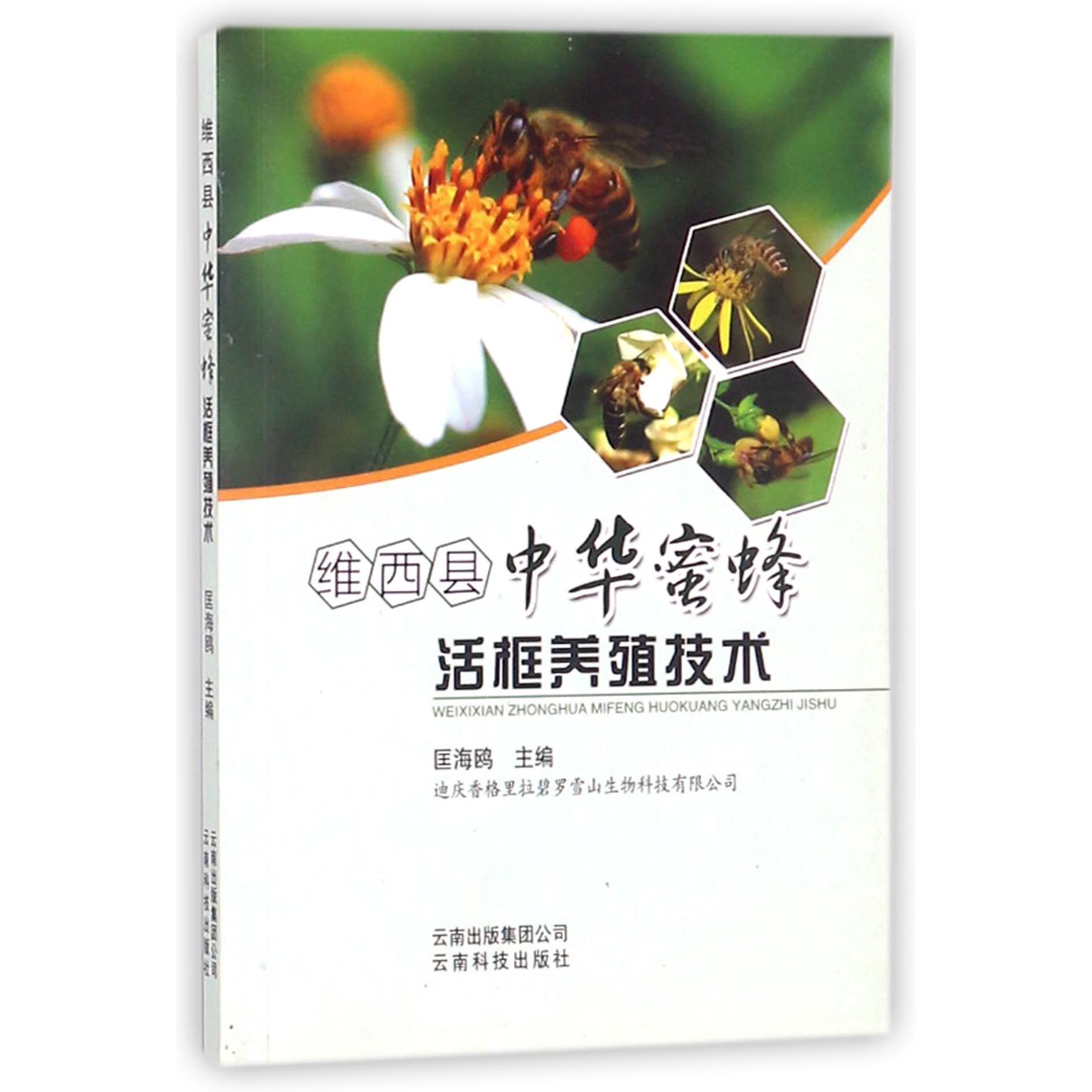 维西县中华蜜蜂活框养殖技术
