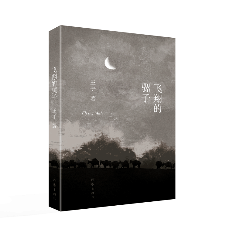 飞翔的骡子