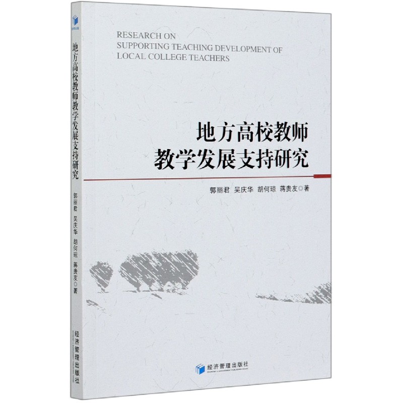 地方高校教师教学发展支持研究