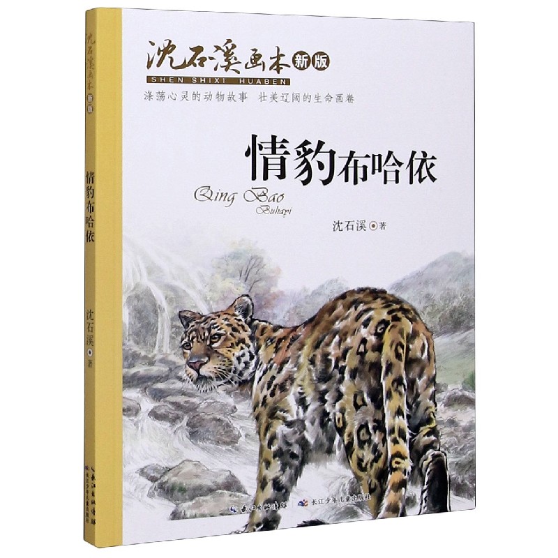 情豹布哈依（新版）/沈石溪画本