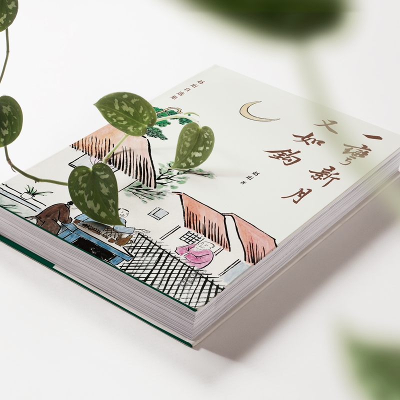 一弯新月又如钩(赵珩自选集)