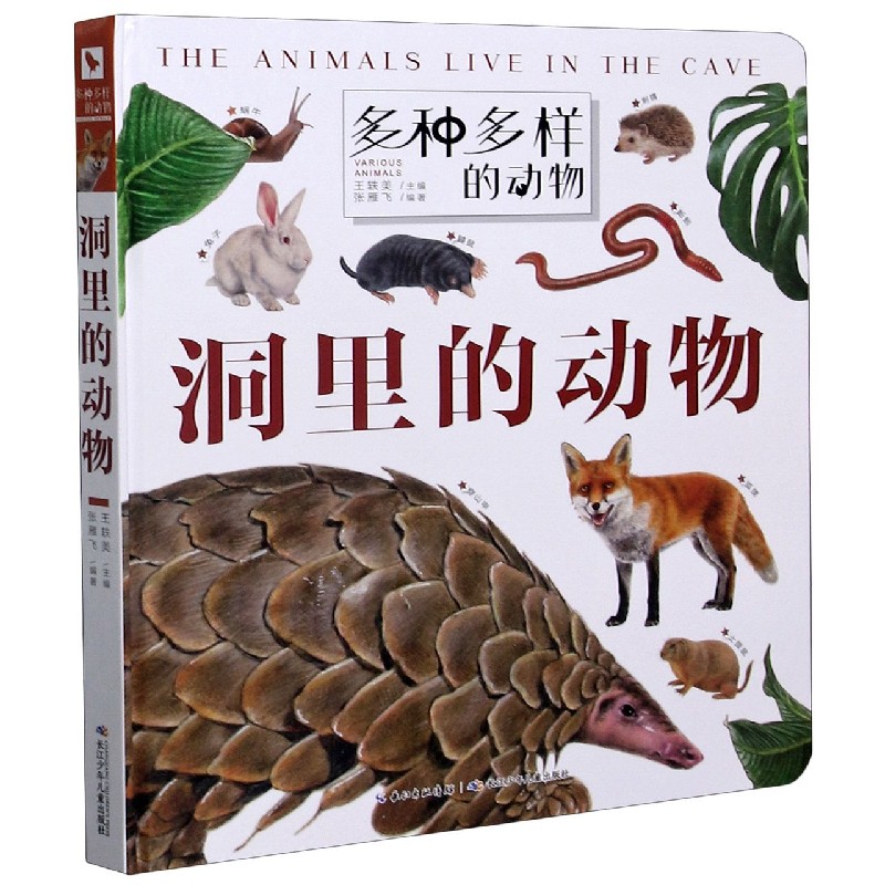 洞里的动物（精）/多种多样的动物