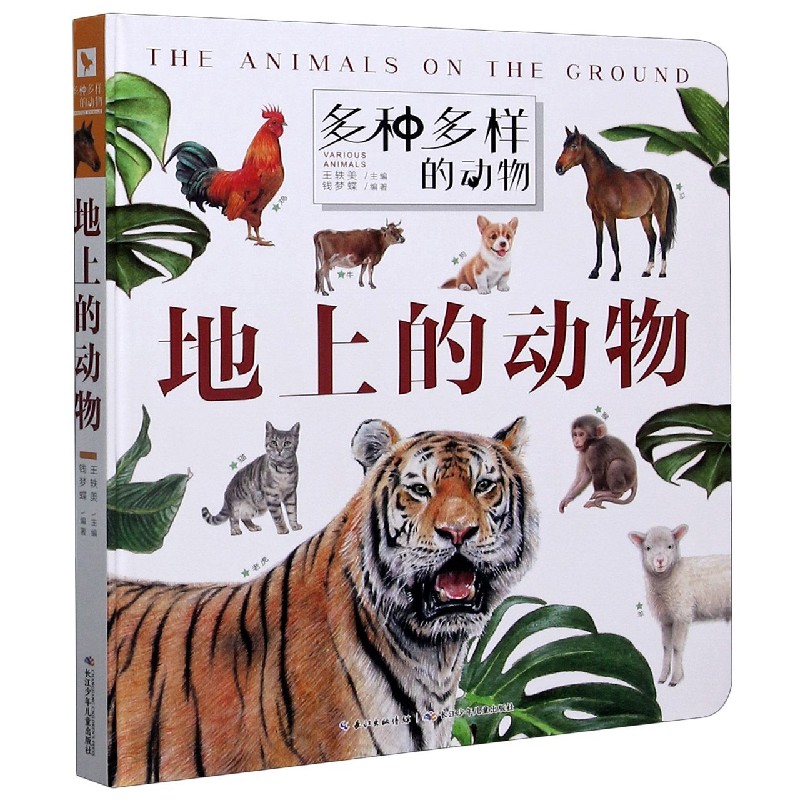 地上的动物（精）/多种多样的动物