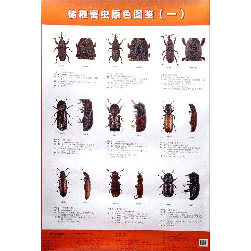 储粮害虫原色图鉴（共8张）
