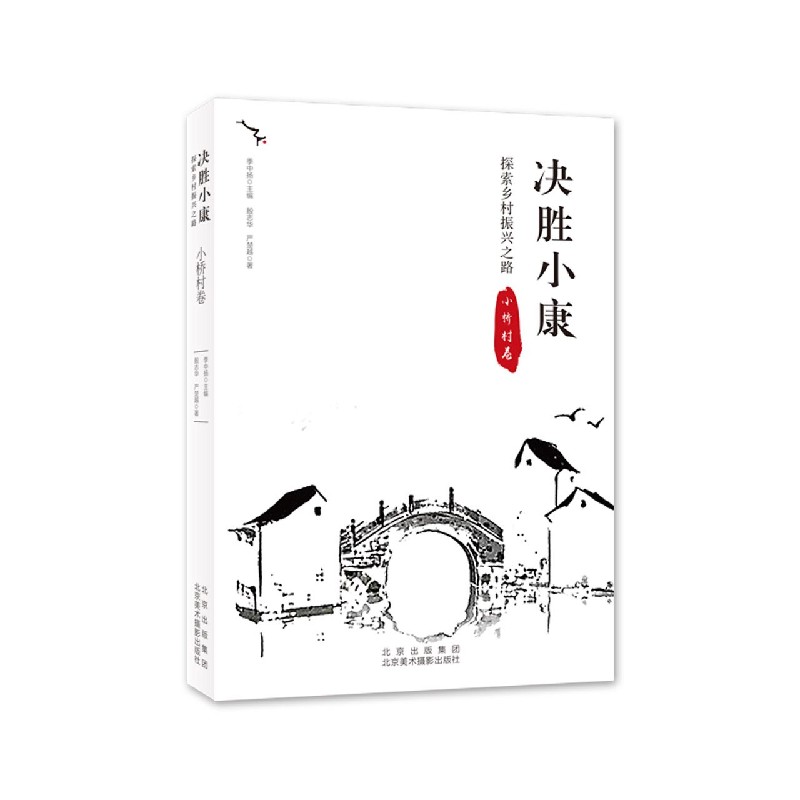 决胜小康（探索乡村振兴之路小桥村卷）