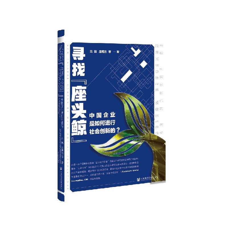 寻找座头鲸（中国企业是如何进行社会创新的）