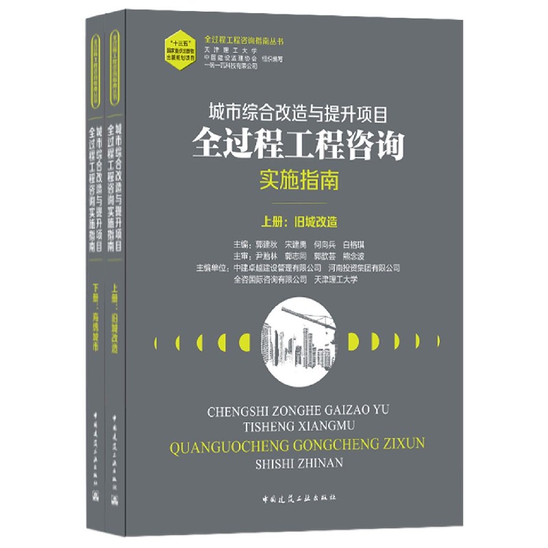 城市综合改造与提升项目全过程工程咨询实施指南（上下）/全过程工程咨询指南丛书