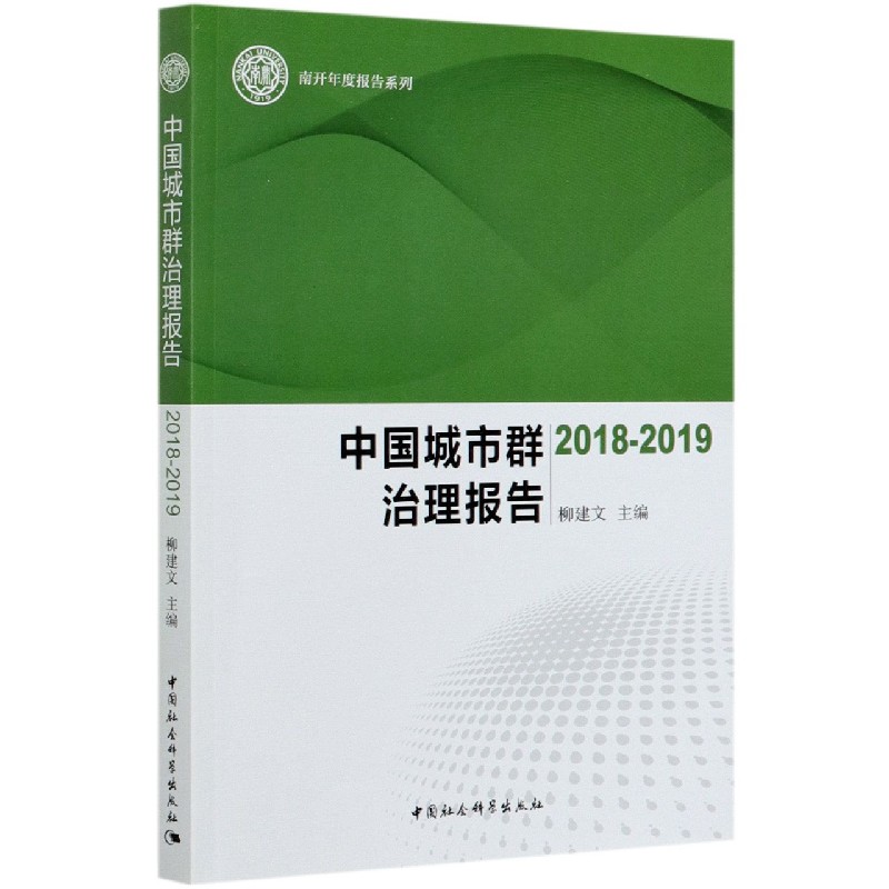 中国城市群治理报告（2018-2019）/南开年度报告系列