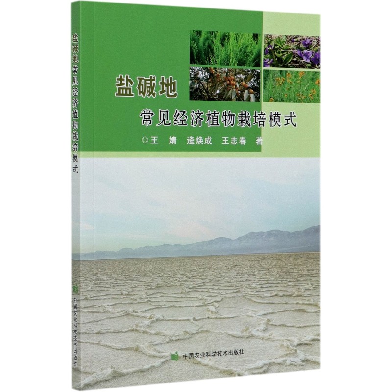 盐碱地常见经济植物栽培模式