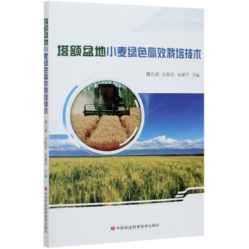 塔额盆地小麦绿色高效栽培技术