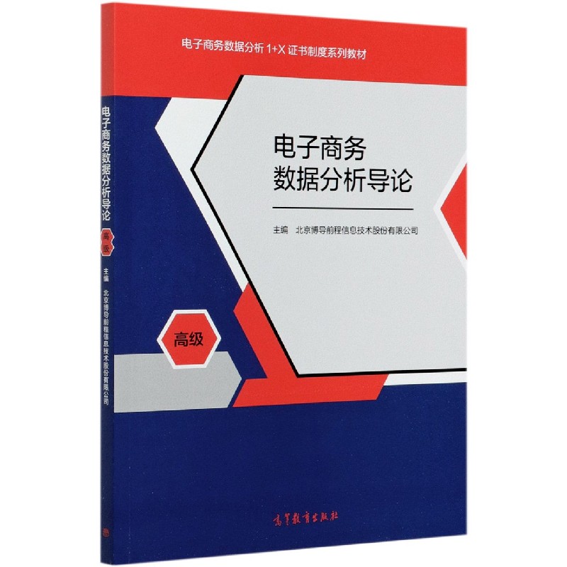 电子商务数据分析导论（高级电子商务数据分析1+X证书制度系列教材）