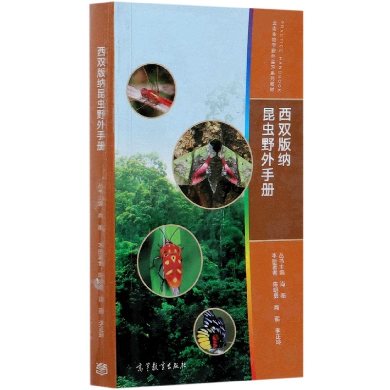 西双版纳昆虫野外手册（云南生物学野外实习系列教材）