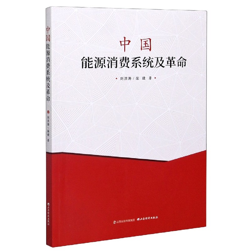 中国能源消费系统及革命