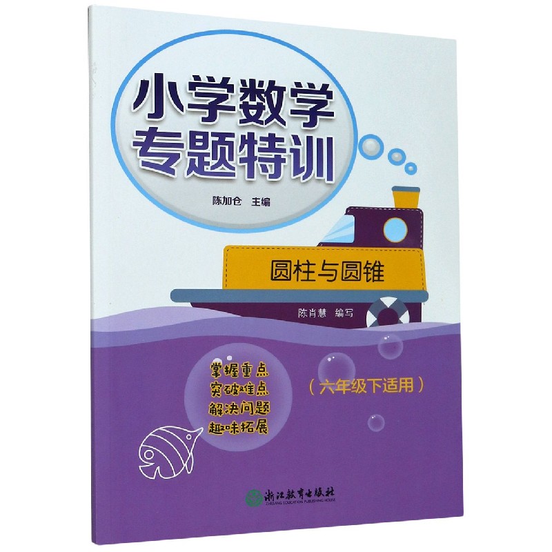 圆柱与圆锥（6下适用）/小学数学专题特训