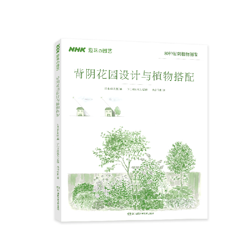 背阴花园设计与植物搭配